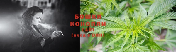 дживик Иннополис
