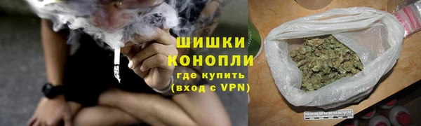 дживик Иннополис