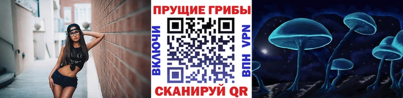Купить где  Дальнереченск  Галлюциногенные грибы GOLDEN TEACHER 
