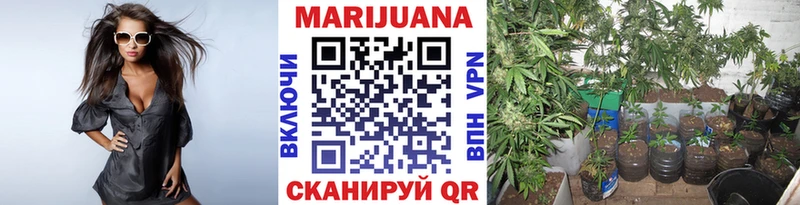 Канабис Ganja  Купить закладки  Дальнереченск 